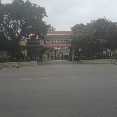 汕尾陆丰文化中心重型铁艺门装置