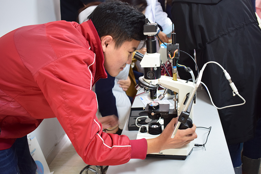 首页- k8凯发集团中国官方网站