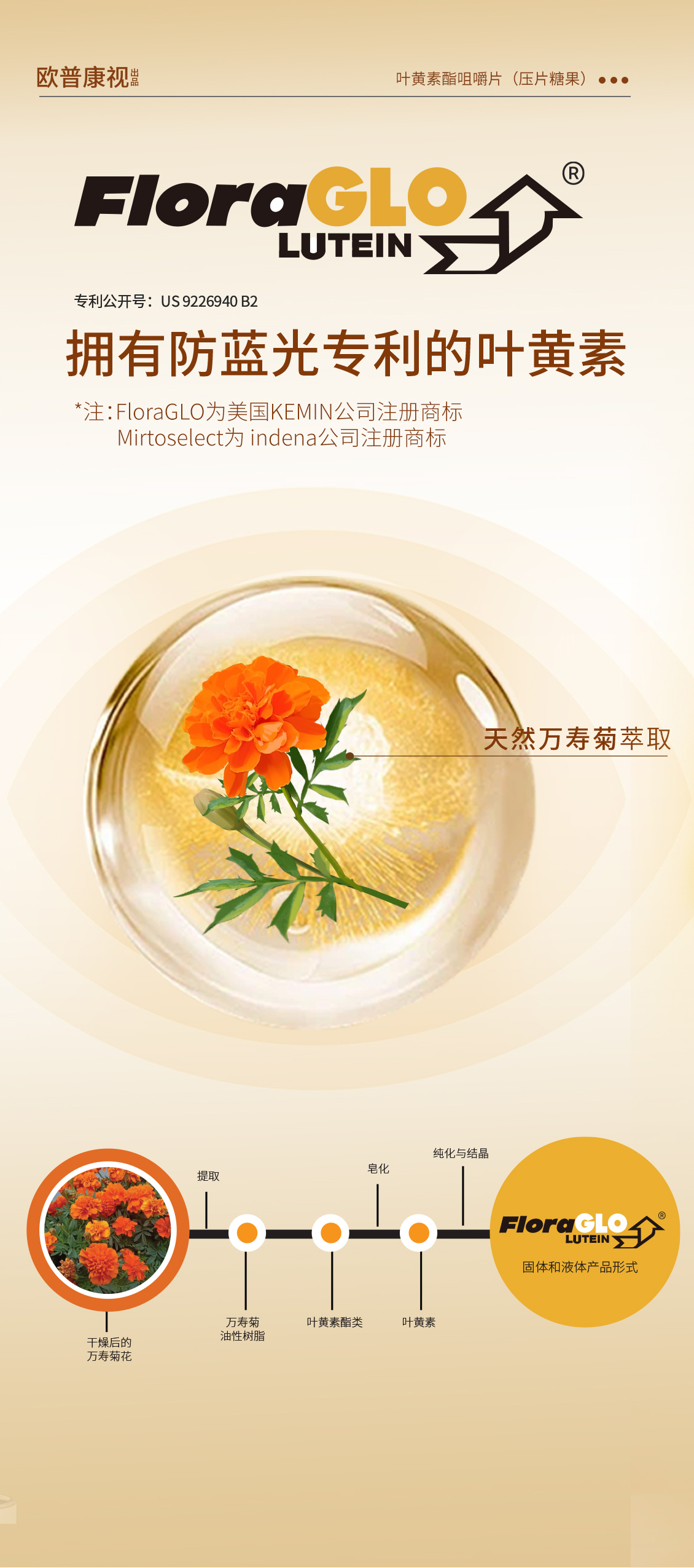 首页- k8凯发集团中国官方网站